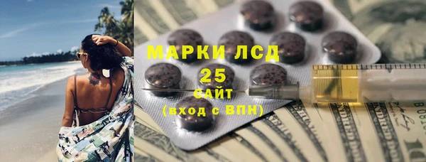 хмурый Гусь-Хрустальный