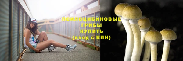 хмурый Гусь-Хрустальный