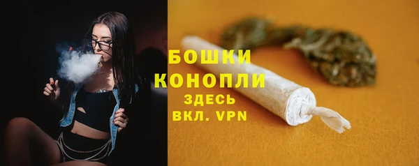 ALPHA PVP Гусиноозёрск