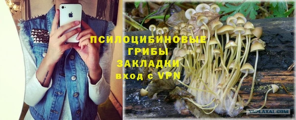 бутират Дмитриев