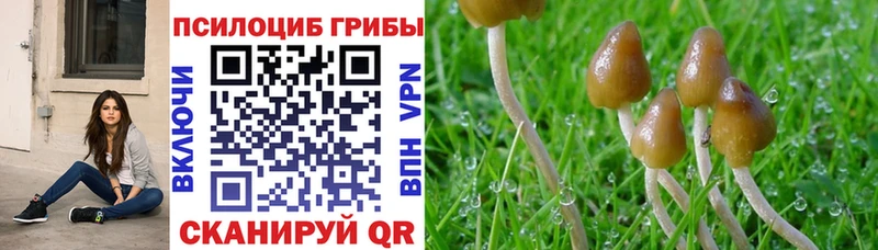 Галлюциногенные грибы ЛСД  Купить закладки  Асбест 